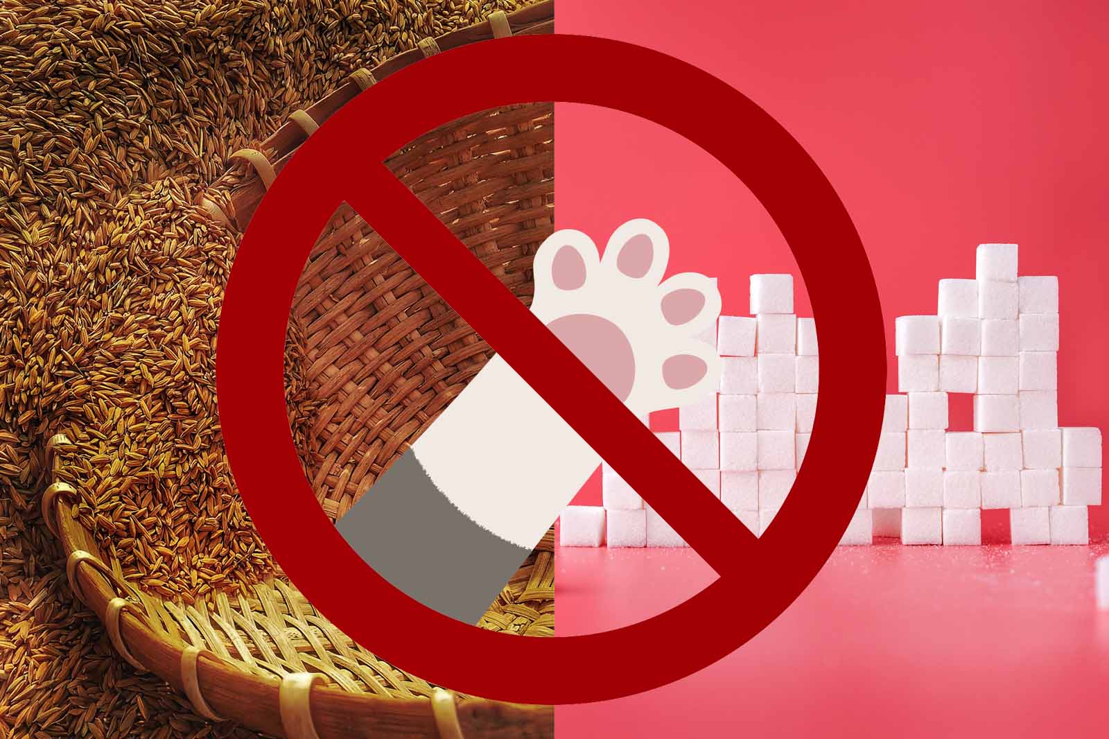 The importance of Grain & Sugar Free Food