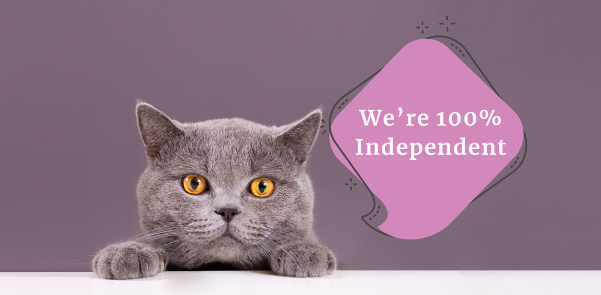 Keeping your Cat Protected aganist unsafe cat food